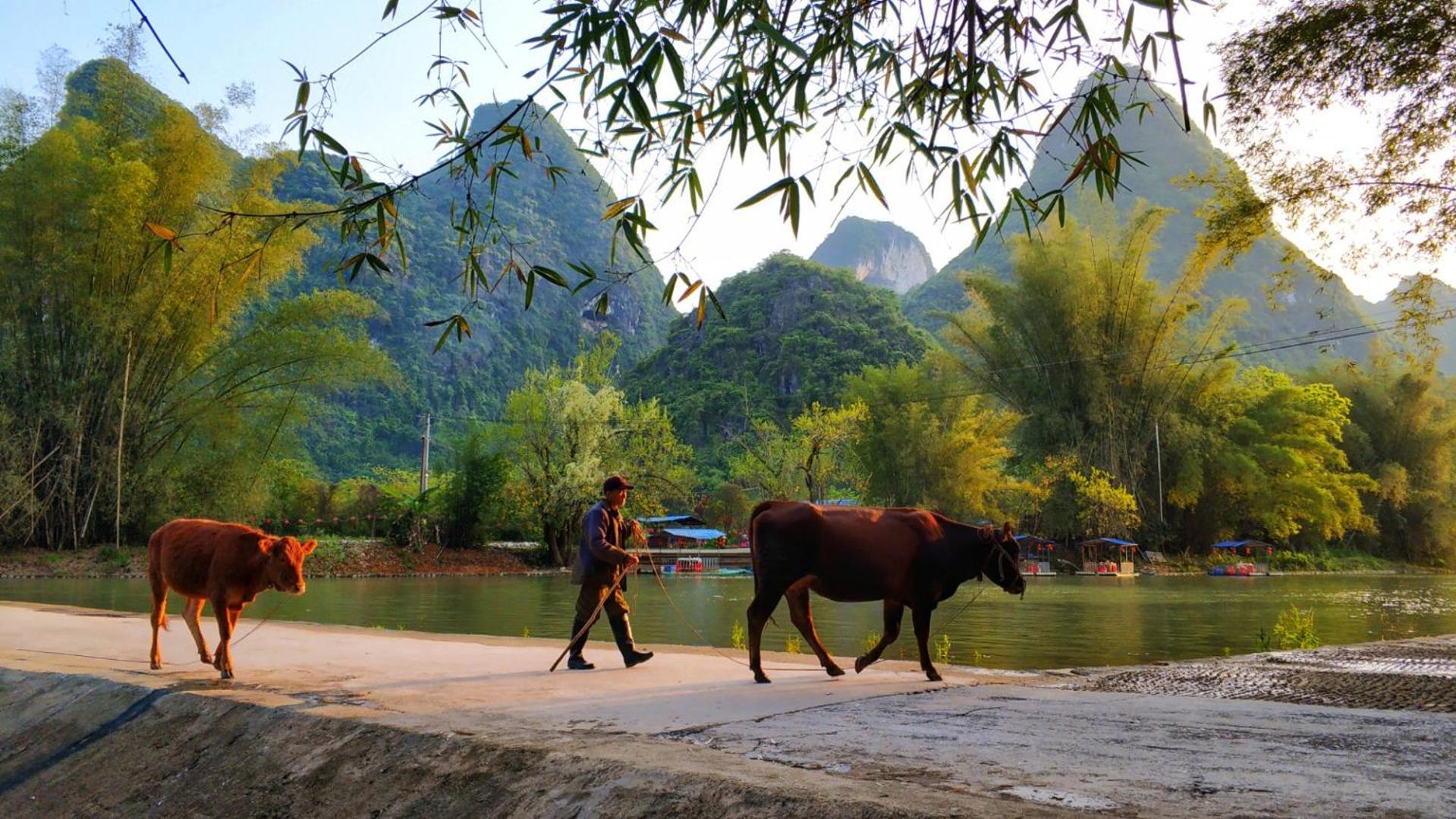 Moondance Boutique Resort Yangshuo Extérieur photo